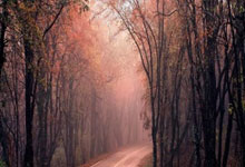 天涯炒股神贴：炒股秘籍大公开！